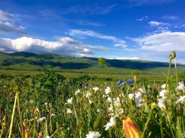 邂逅伊犁：喀拉峻、昭蘇夏塔雪山草原夢幻之旅